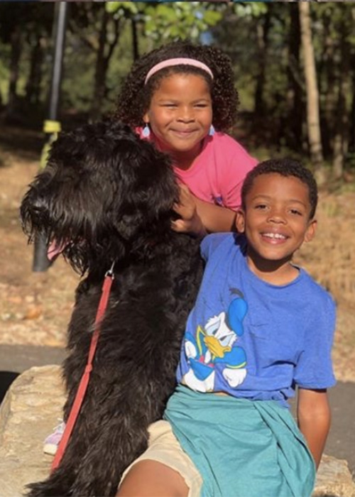 dog training in charlotte nc